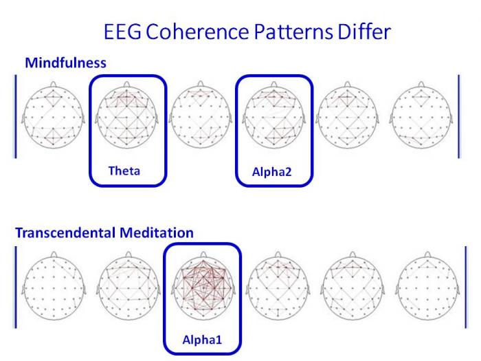 <b>Increased alpha1 EEG coherence during TM also distinguishes it from mindfulness practices.<br> <br>This chart shows that the patterns of EEG coherence produced by Mindfulness and TM are different. During Mindfulness, frontal theta (4-8 Hz) and occipital Alpha2 (10-12 Hz) increase, reflecting that purposeful attention is being concentrated on monitoring of thoughts during Mindfulness.(1) During TM alpha1 (8-10 Hz) EEG coherence increases globally throughout the brain, indicating a state of profound brain integration and restful alertness.(2)</b><br>